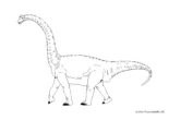 Ausmalbild Antarctosaurus Dinosaurier