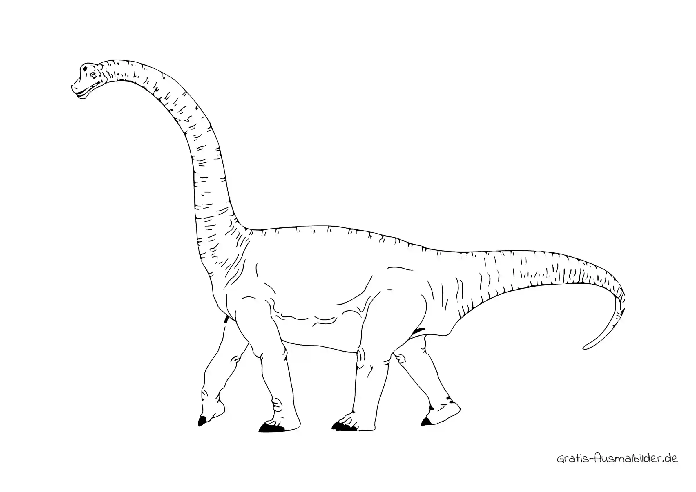 Ausmalbild Antarctosaurus Dinosaurier