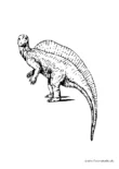 Ausmalbild Dinosaurier auf Hinterbeinen