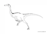 Ausmalbild Dinosaurier Dromeo