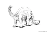 Ausmalbild Dinosaurier mit langem Hals
