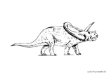 Ausmalbild Dinosaurier mit Stirnplatte