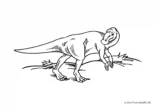 Ausmalbild Einfacher Dinosaurier Schnabel