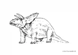 Ausmalbild Triceratops schaut hoch