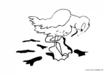 Ausmalbild Ente mit dreckigen Füßen