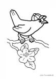 Ausmalbild Ente mit Kappe auf Ast