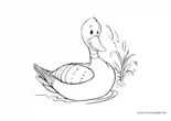 Ausmalbild Ente mit Wasserpflanze