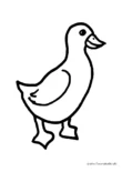 Ausmalbild Ente schematisch