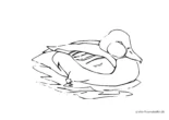 Ausmalbild Kleine Ente schwimmt