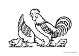 Ausmalbild Hühnerfamilie
