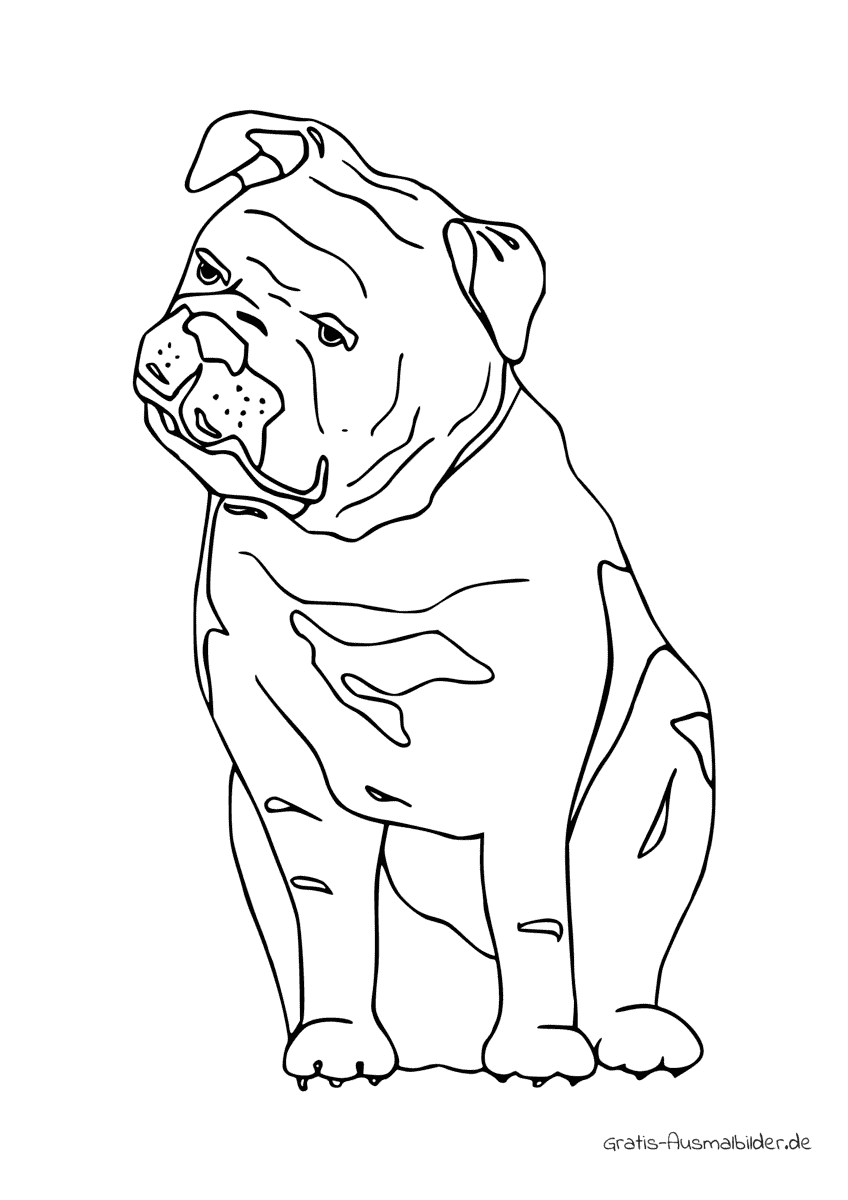 Ausmalbild Bulldogge