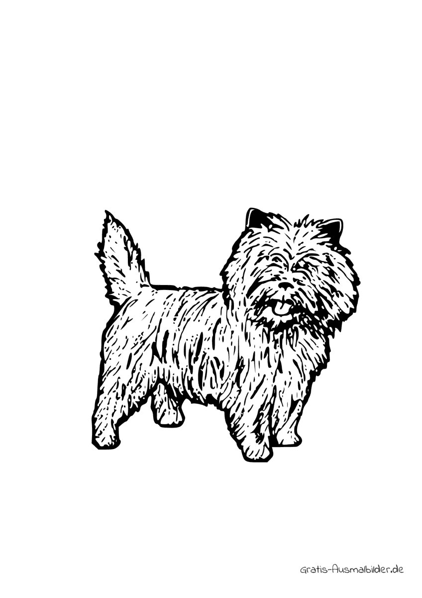 Ausmalbild Cairn Terrier