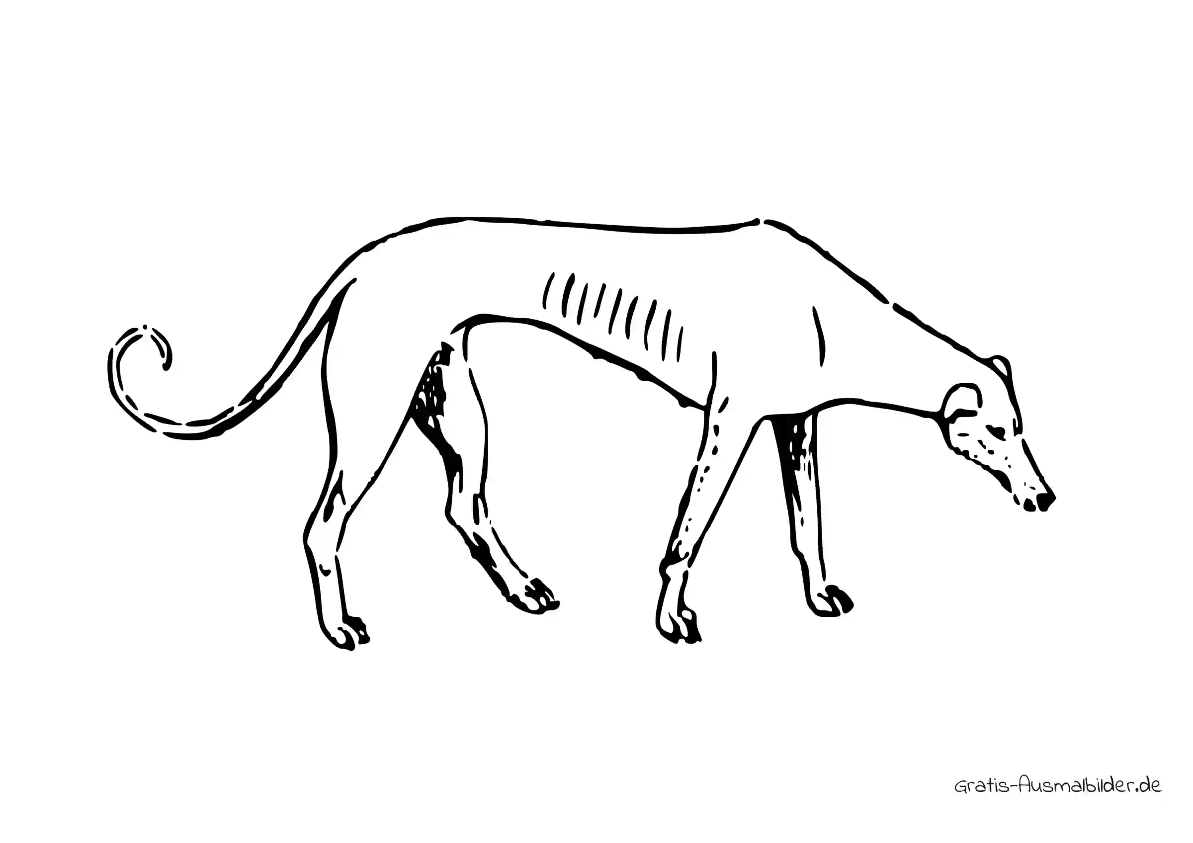 Ausmalbild Dünner Windhund