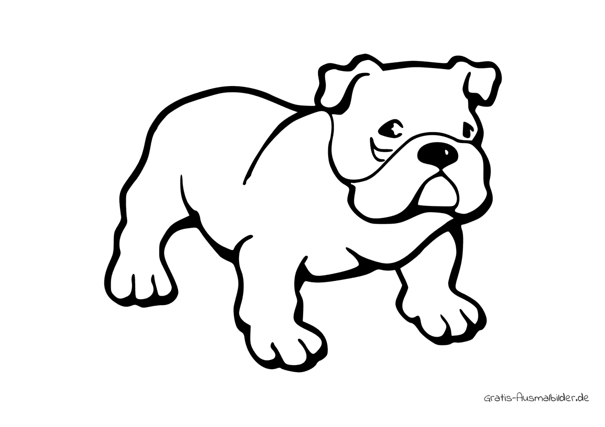 Ausmalbild Einfache Bulldogge