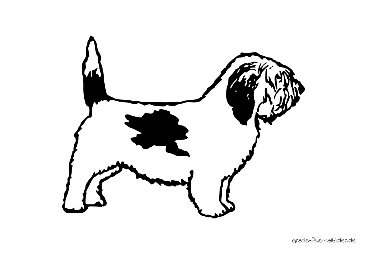 Ausmalbild Gefleckter Pudel - Kostenlose Malvorlagen bei Gratis
