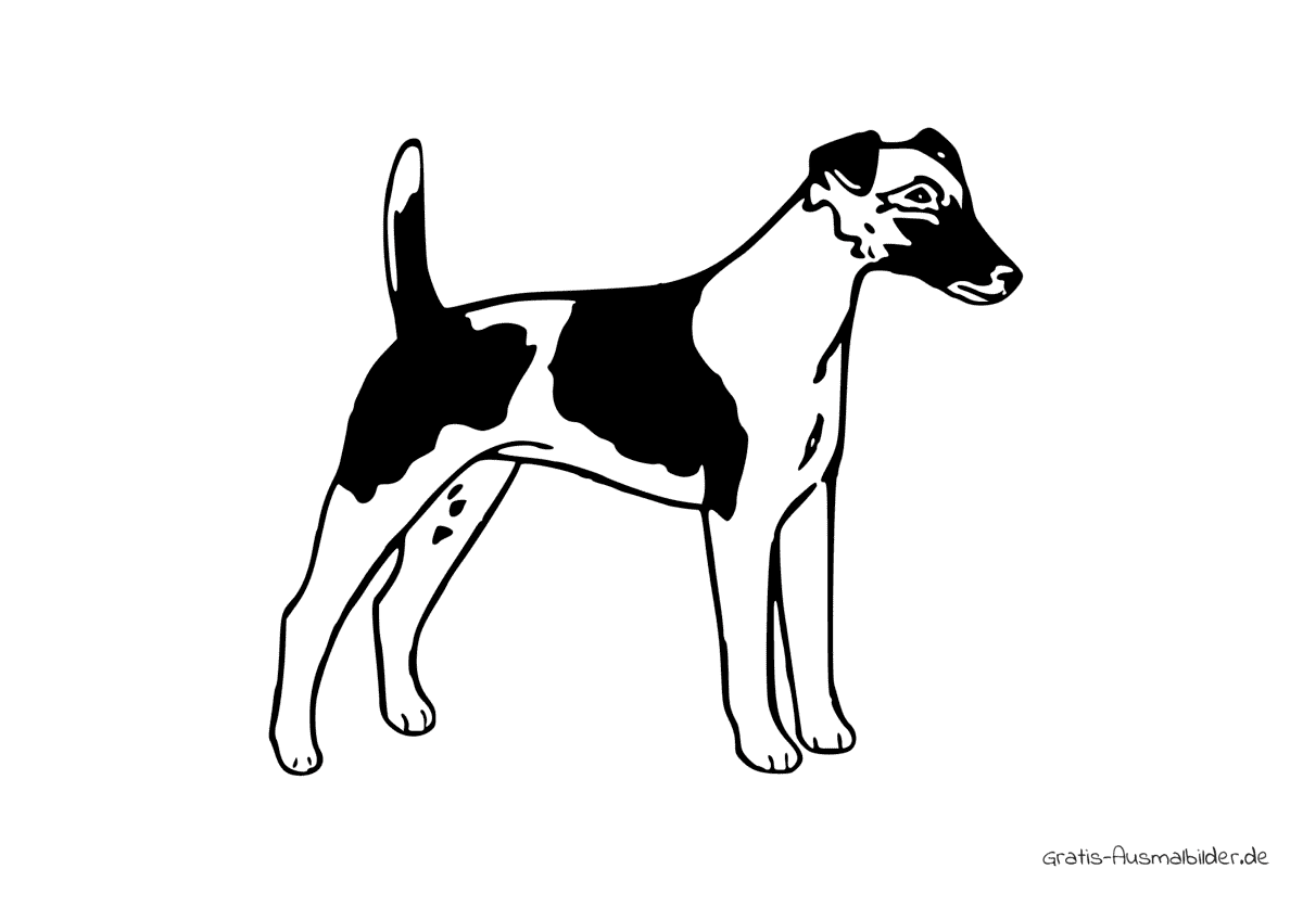 Ausmalbild Gefleckter stehender Hund
