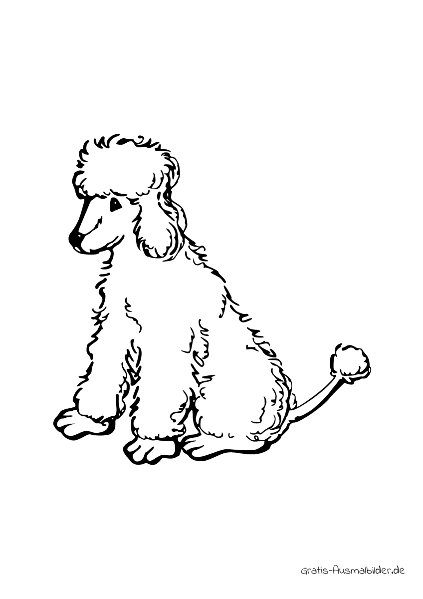 Ausmalbild Haariger Hund mit Schwanz