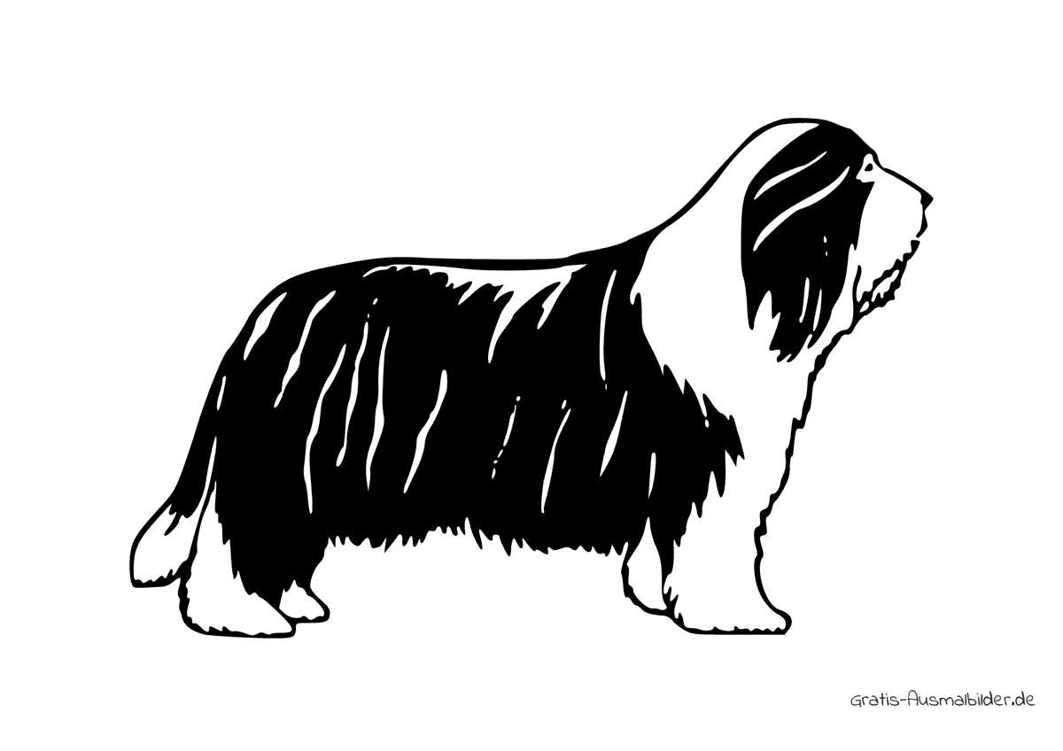 Ausmalbild Haariger Hund