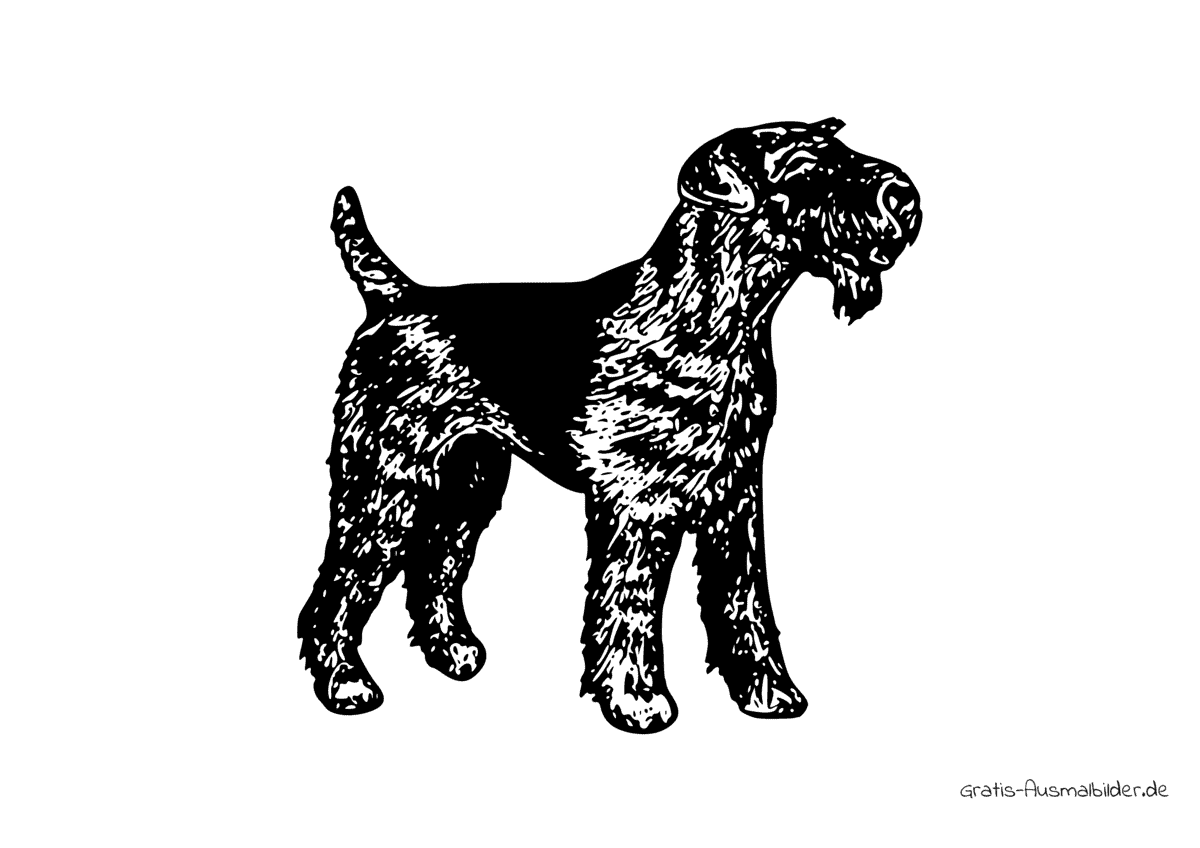 Ausmalbild Hund Airedale Terrier