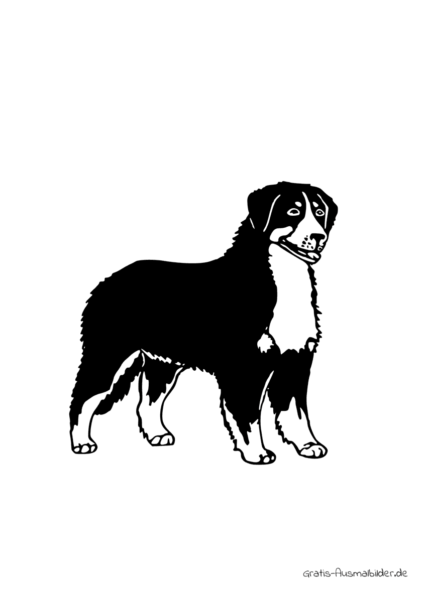 Ausmalbild Hund Bernese Mountain Dog
