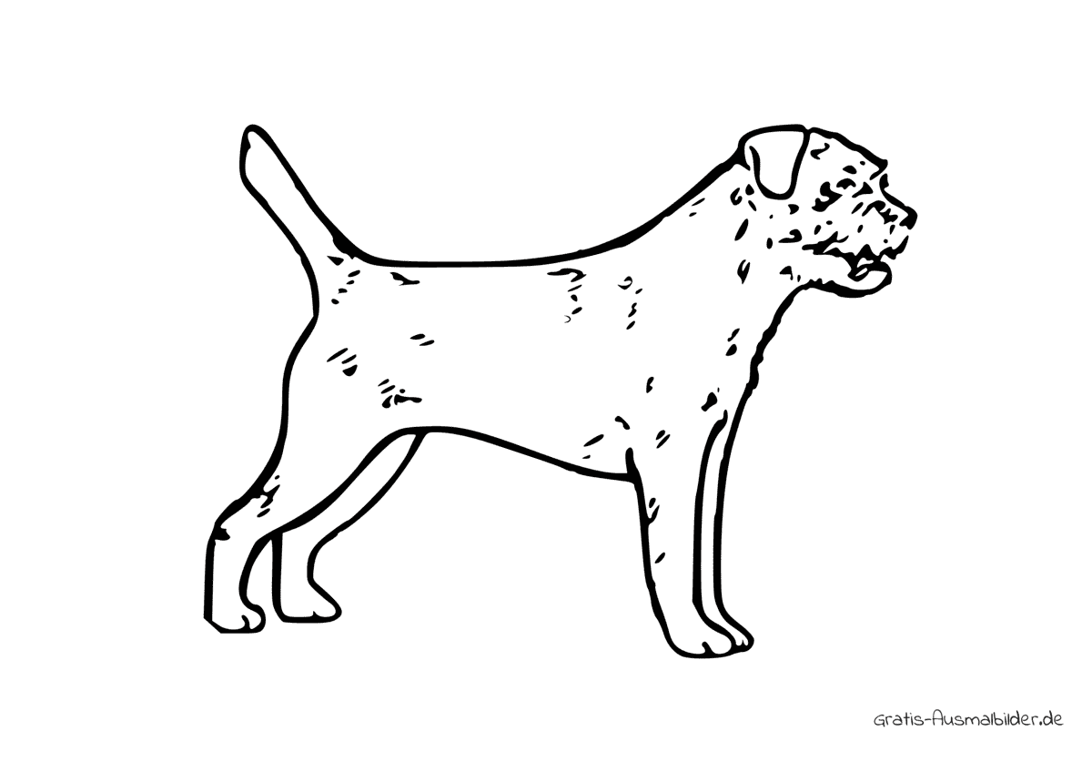 Ausmalbild Hund Border Terrier