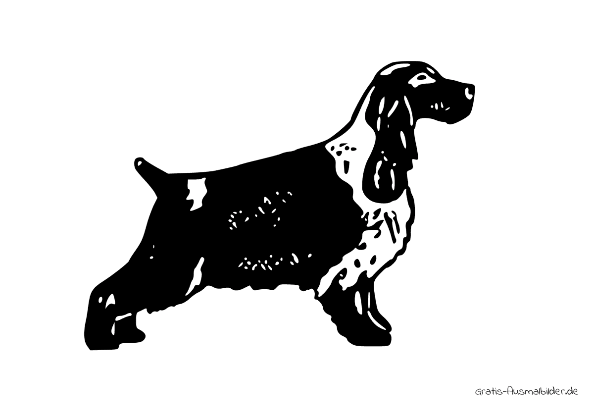 Ausmalbild Hund English Cocker Spaniel