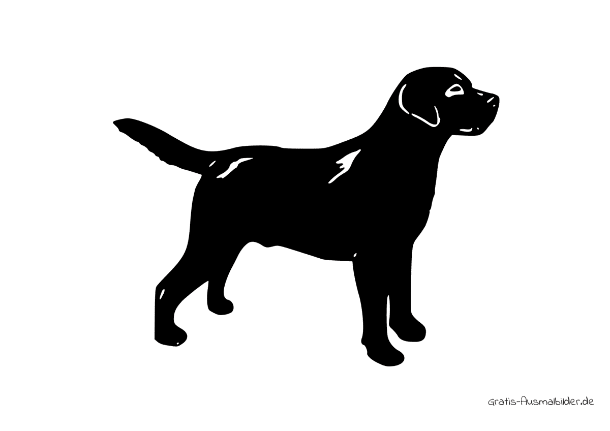 Ausmalbild Hund Labrador Retriever