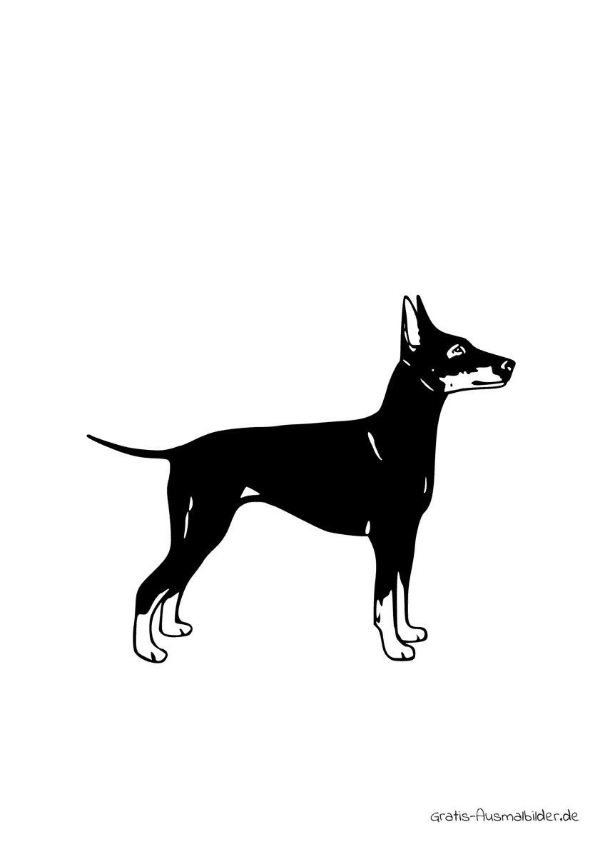 Ausmalbild Hund Manchester Terrier