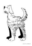 Ausmalbild Hund mit langem Fell