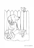 Ausmalbild Hund sitzt auf Bank mit Vogel
