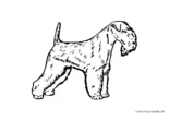 Ausmalbild Lakeland Terrier