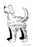 Ausmalbild Strubbelhund