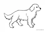 Ausmalbild Süßer Hund mit dickem Fell