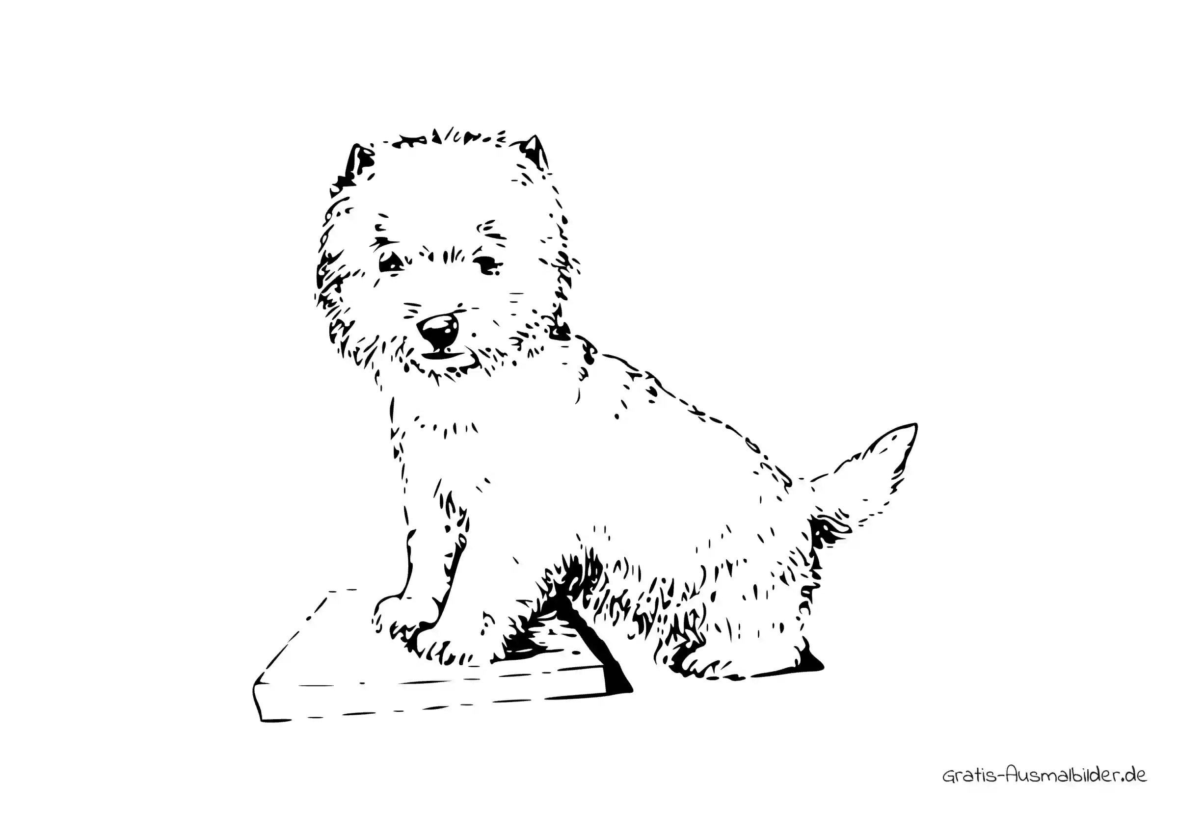 Ausmalbild Süßer Hund mit wuschigem Fell