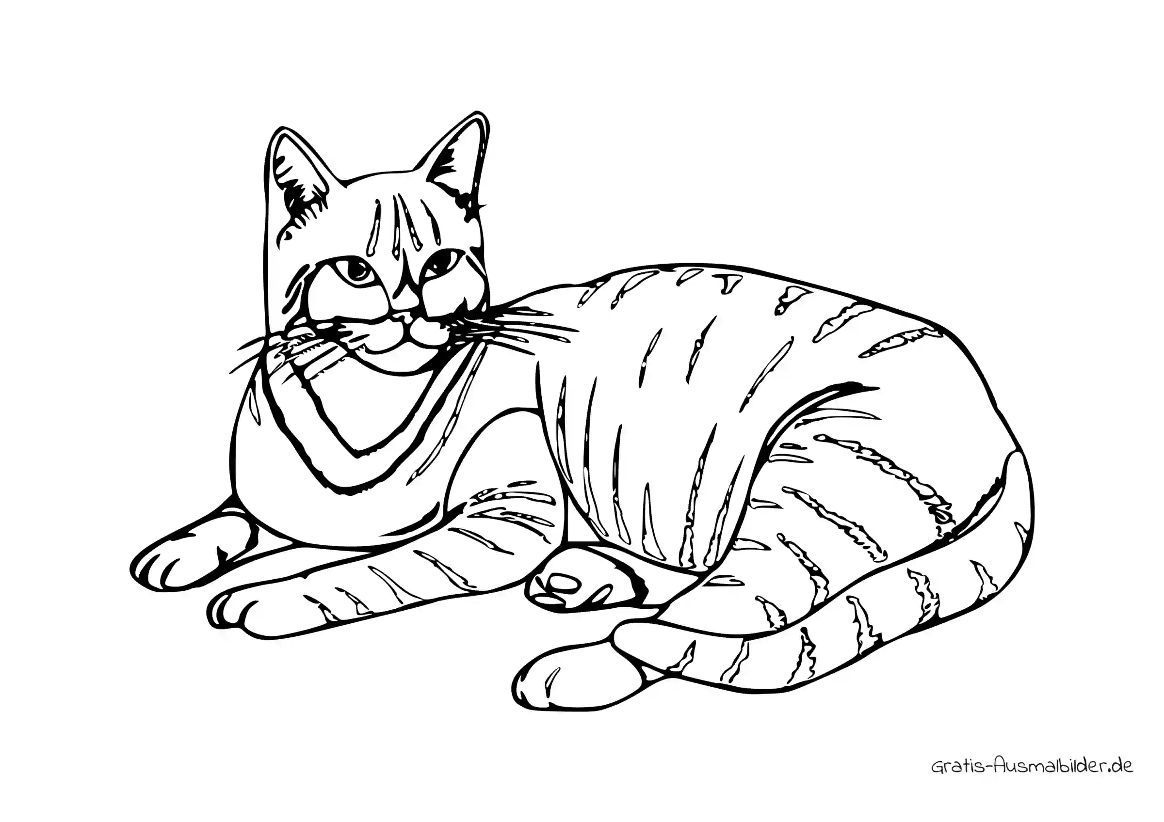 Ausmalbild Katze liegt - Kostenlose Malvorlagen bei Gratis-Ausmalbilder.de