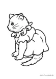 Ausmalbild Katze mit KLeid