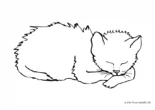 Ausmalbild Katze schläft