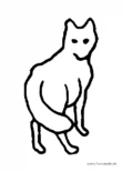 Ausmalbild Katze skizziert