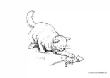 Ausmalbild Katze spielt mit Maus
