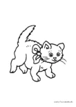 Ausmalbild Kleine Katze mit Schleife