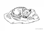 Ausmalbild Schlafende Katze