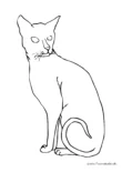 Ausmalbild Sitzende schmale Katze