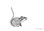Ausmalbild Maus hebt Schwanz