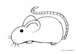 Ausmalbild Maus mit langem Schwanz
