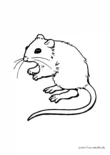 Ausmalbild Stehende Maus schnuppert