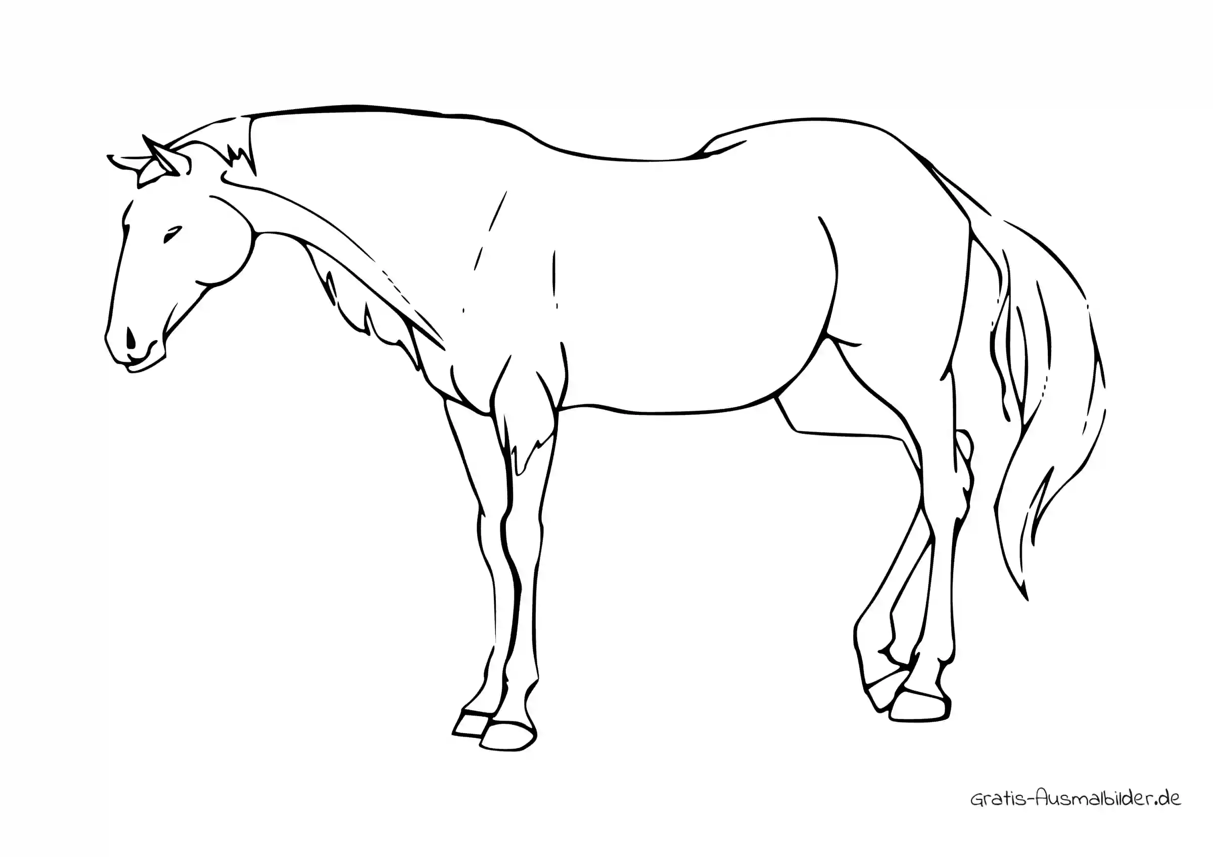 Ausmalbild Einfach stehendes Pferd
