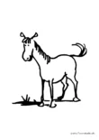 Ausmalbild Fröhliches Pferd skizziert