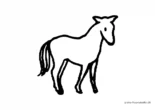 Ausmalbild Junges Pferd skizziert