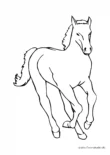 Ausmalbild Pferd am Gallopieren