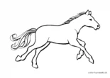 Ausmalbild Pferd im Gallob